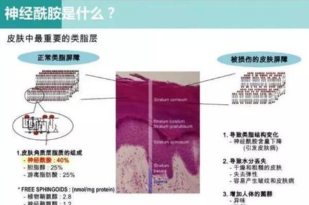 微信图片_20180720173710.jpg