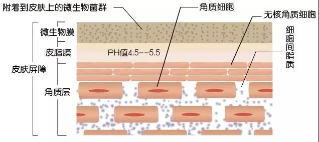 文章附图